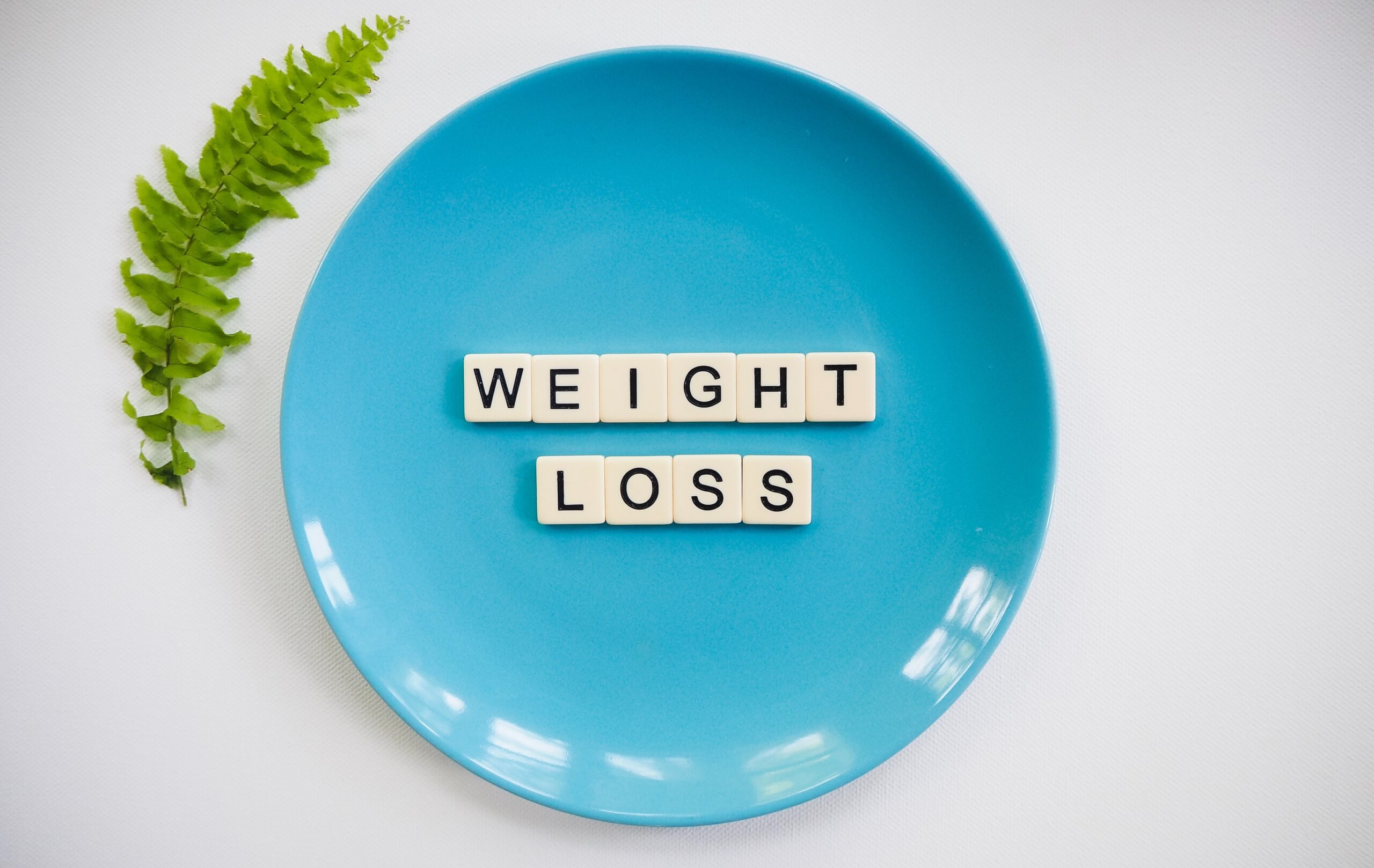Is Theprivateavocado The Secret To Weight Loss? - 1ub1cds